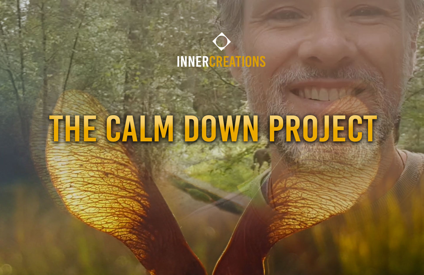 The Calm Down Project