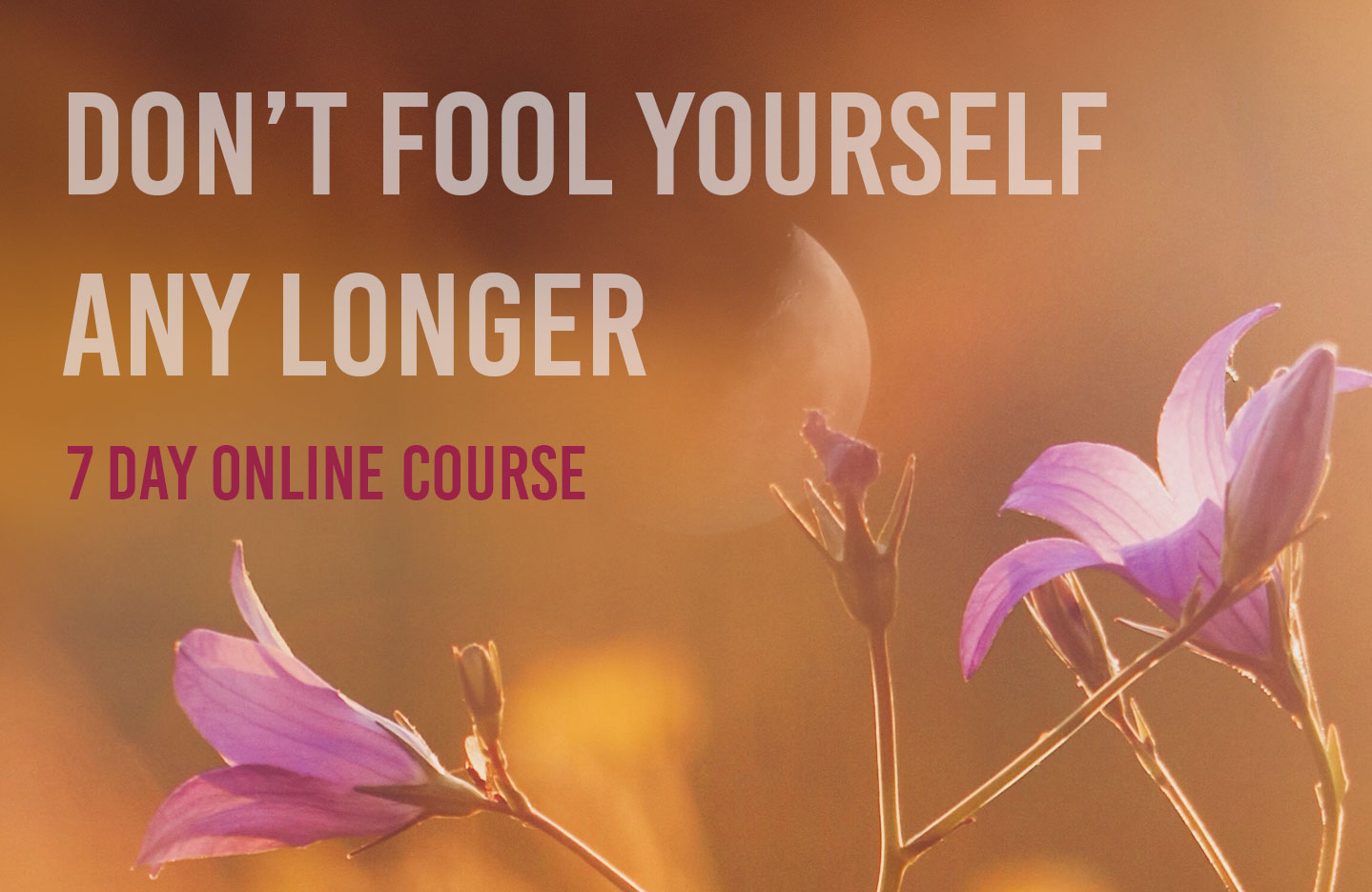 Online Course: Don’t fool yourself any longer