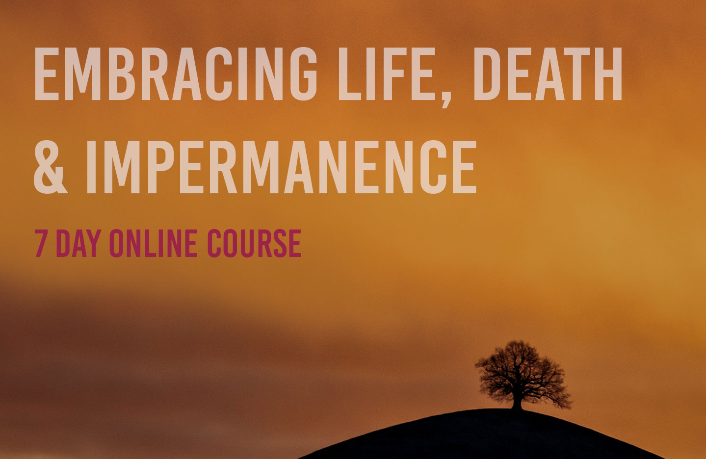 Online Course: Embracing life, death and impermanence