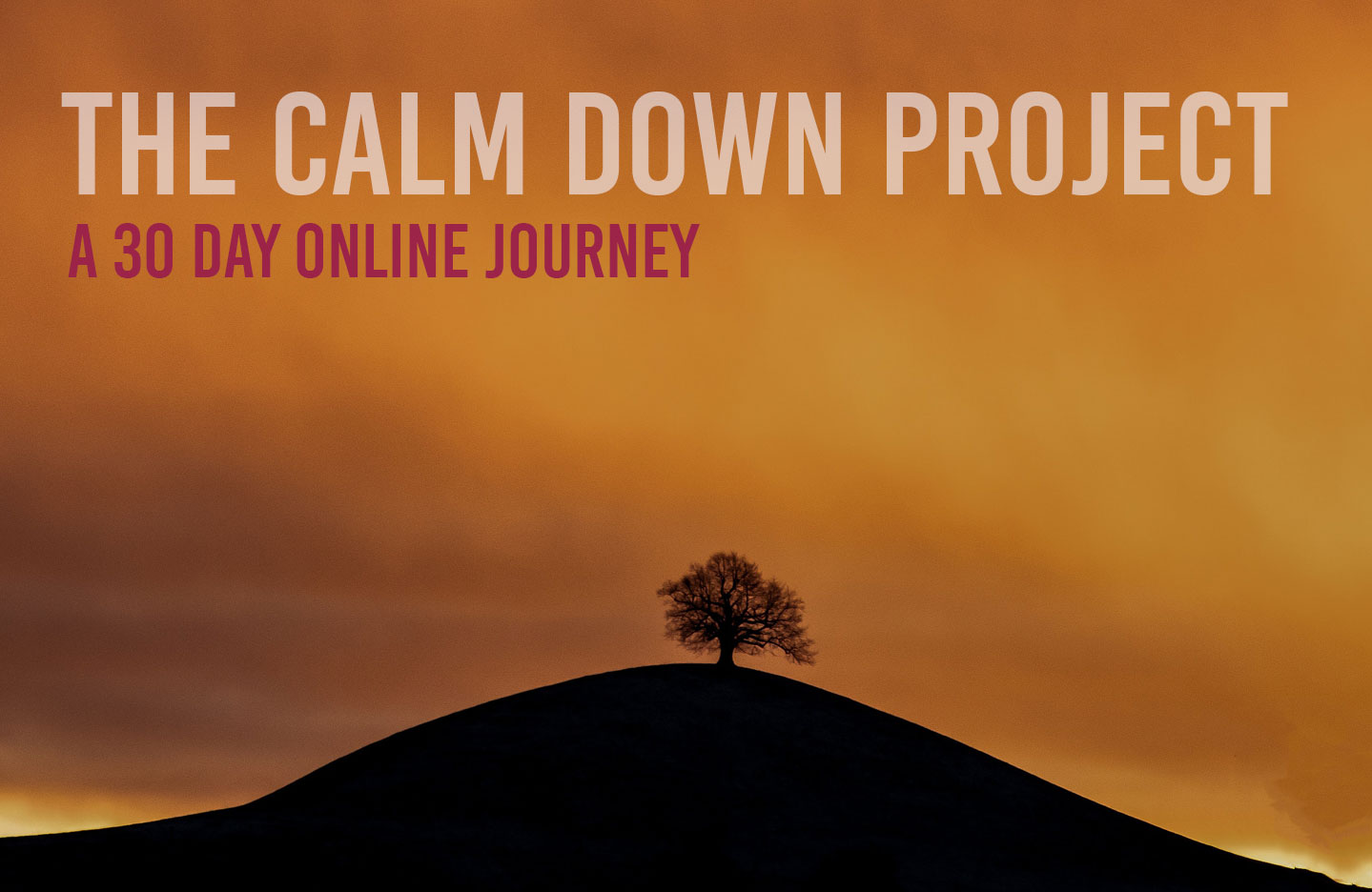 The Calm Down Project The Calm Down Project