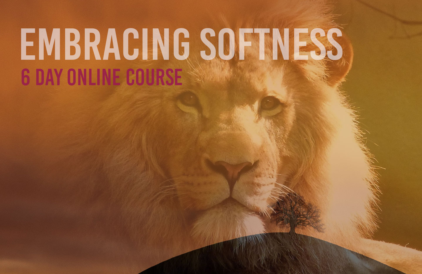 Online Course: Embracing Softness